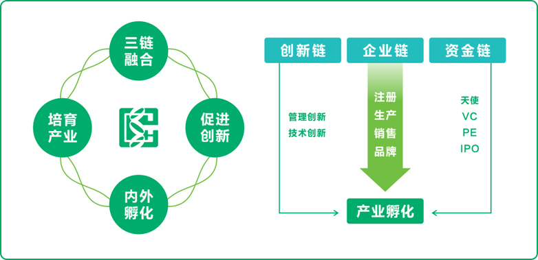 達(dá)安式孵化